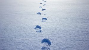 Burglary Suspects Tracked Down by Footprints in Snow