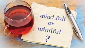 Mindfulness and meditation for effective policing
