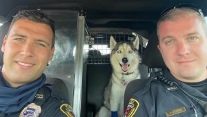 Missouri police rescue dog from hot car after owner is killed in shooting