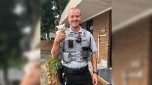 Emerald Isle police officer rescues kitten from busy bridge, helps it find forever home