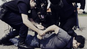 California lawmakers pass bill to ban police from using face-down holds during arrests