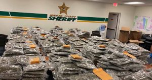 Florida sheriff jokingly offers to return 770 pounds of marijuana to “rightful owner”