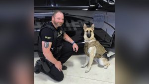 Rescued German Shepherd finds home in law enforcement, receives award for drug detection case
