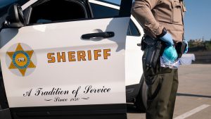 LA County sheriff lambasts public safety proposal to replace armed metro police officers with unarmed transit ambassadors