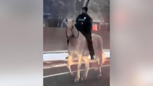 “Cowboy cop” rides runaway horse back to its pasture through traffic
