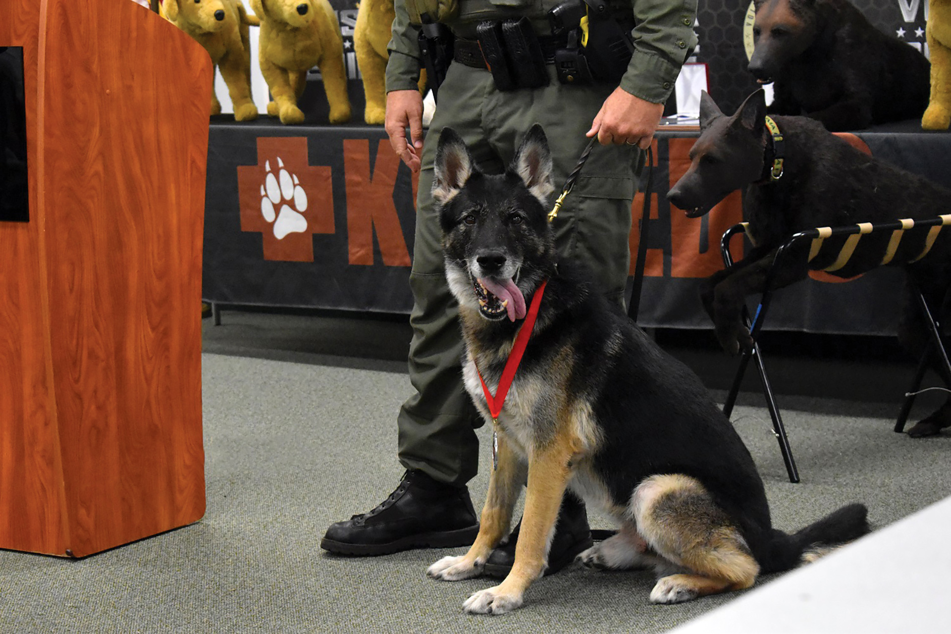 florida-k-9s-honored-with-purple-heart-awards-endo