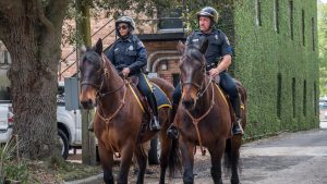 After 10 years, mounted patrol returns to Charleston
