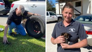 Florida deputies rescue kitten trapped in car tire