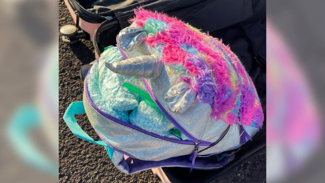 Arizona troopers find nearly 40 pounds of fentanyl pills and cocaine hidden in unicorn backpack