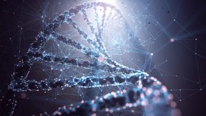New York court suspends familial DNA searching by law enforcement