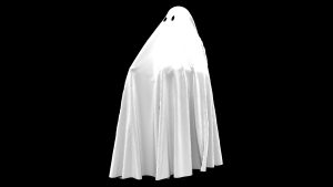 Maine police arrest man hiding under a blanket in ghost disguise