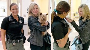Yorkie stolen 11 years ago in Boston reunited with owner with help from animal control officer