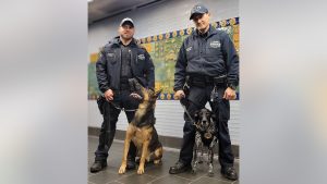 NYPD deploys K-9s with innovative electronic harness to prevent terrorist attacks