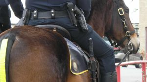 Florida man arrested for slapping police horse’s butt
