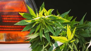 Wisconsin Supreme Court justifies probable cause for searches based on marijuana odor