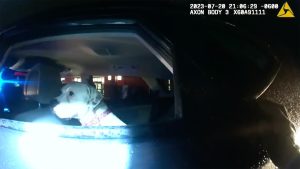 Heartwarming animal rescue: Colorado police officer adopts dog found in stolen car