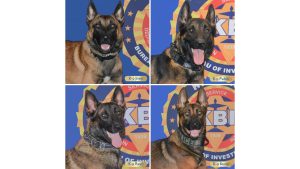 Kansas launches special K-9 unit to combat opioid crisis in new initiative