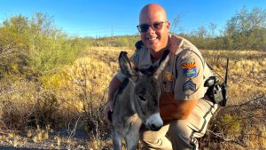 Heartwarming animal rescue: Arizona DPS trooper saves day-old burro orphaned on highway