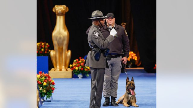 Heroic K-9 unit honored at National Dog Show for role in capturing prison escapee