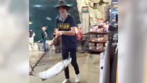 Fish heist: Fort Myers thief swipes 50-pound tarpon from Bass Pro Shops indoor pond