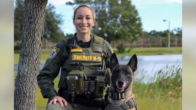 Florida deputy heroically saves K-9 partner from potentially fatal leap