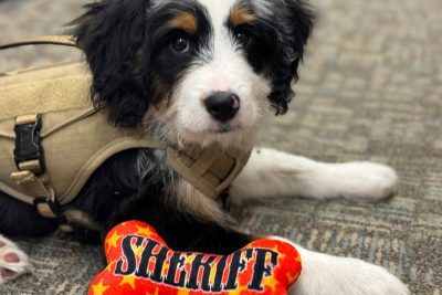 Douglas County Sheriff’s Office welcomes first law enforcement senior resource dog in Colorado