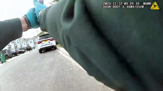 Officer mistakes a falling acorn for a gunshot