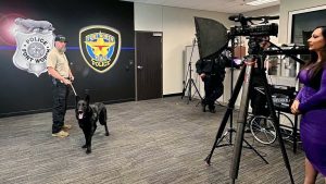 Texas shelter dog becomes impressive crime-fighting police K-9