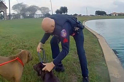 “It’s OK, we got you”: Manvel, Texas, officers make swift rescue