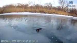 Michigan police officers brave icy waters to save dog